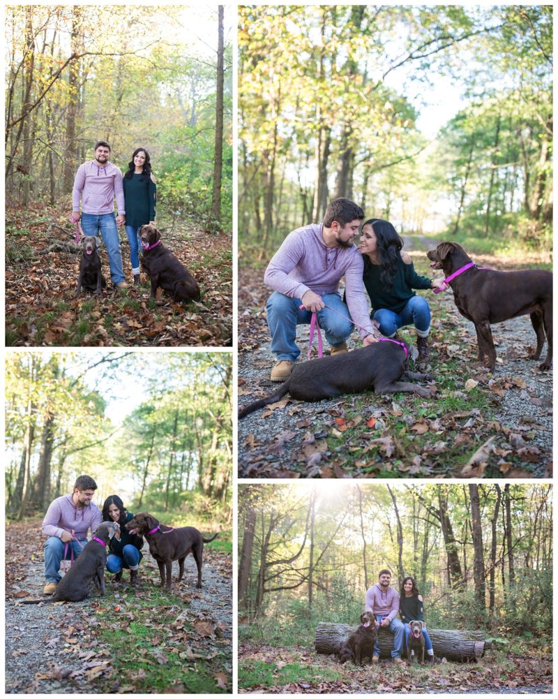 Moraine State Park Engagement