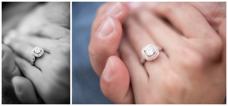 Moraine State Park Engagement