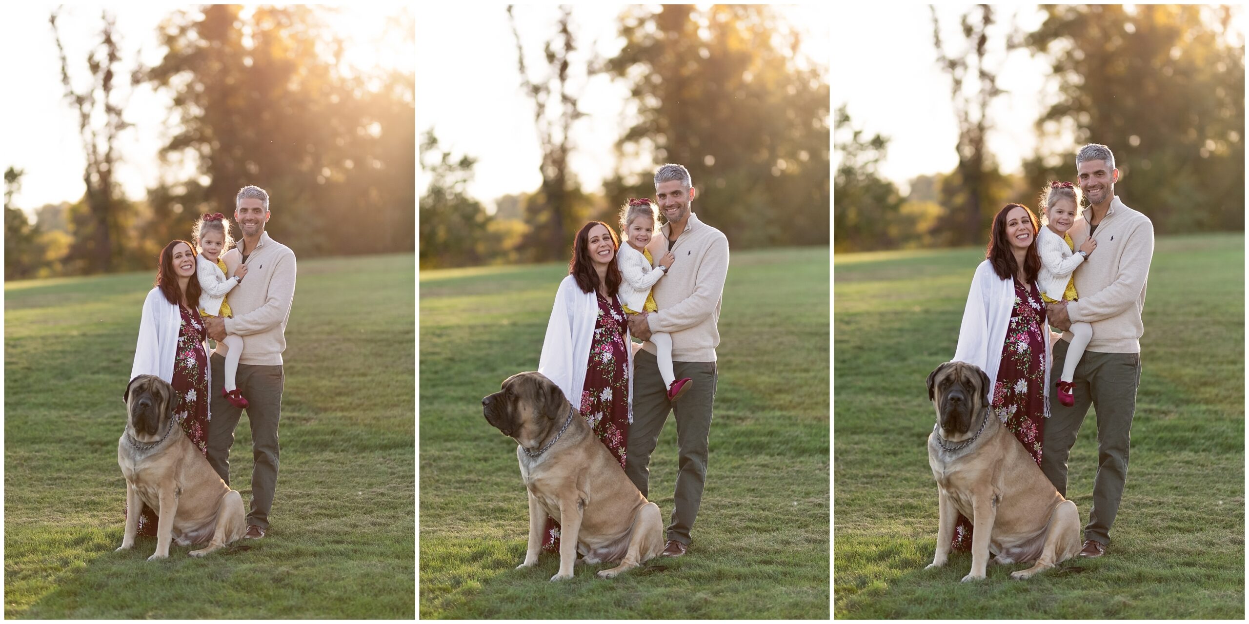 Fall Boyce Park Maternity Session in Plum PA Photographed by Plum and Pittsburgh Family & Maternity Photographer Acevedo Weddings