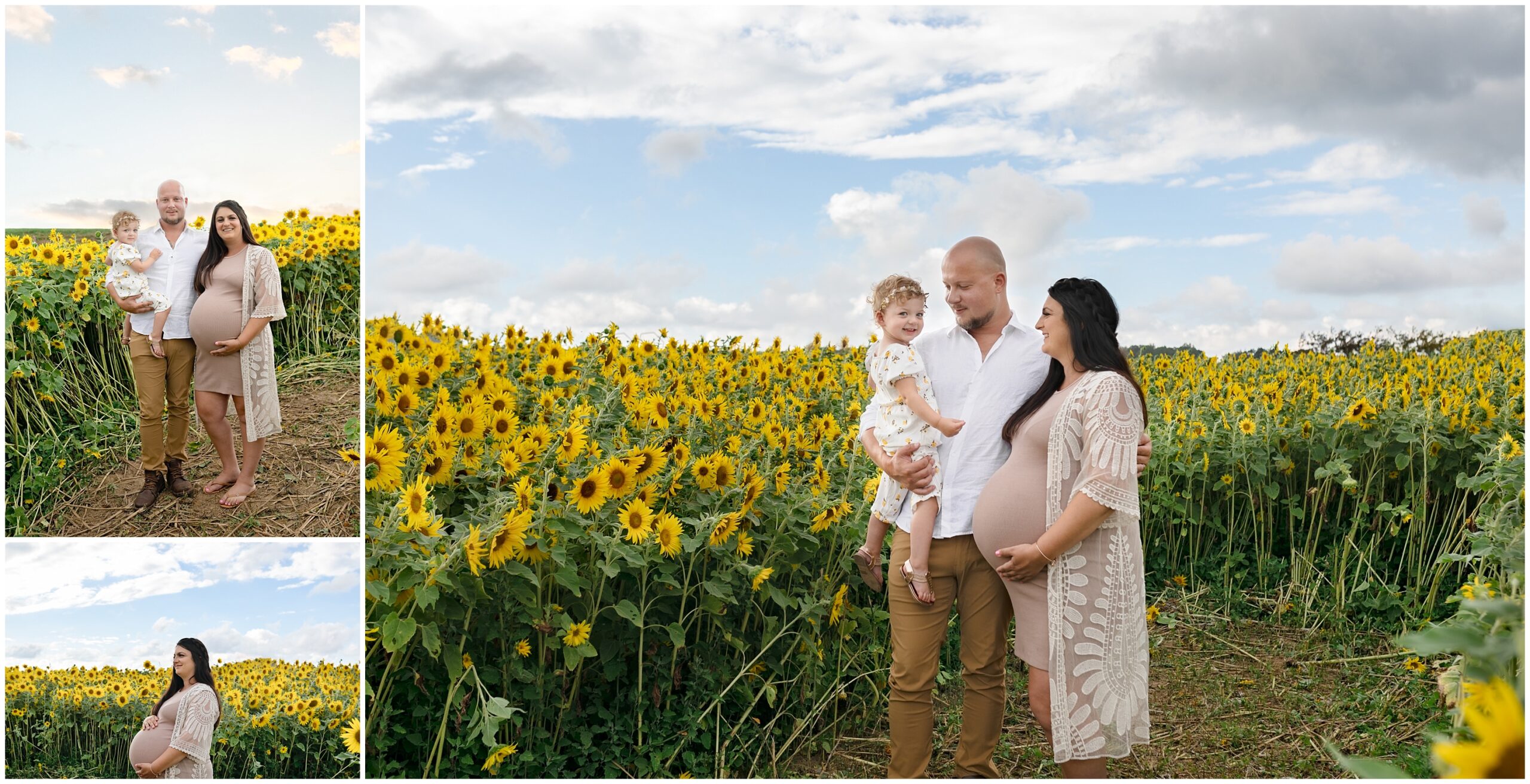 Renshaw Family Farms Sunflower Session Freeport PA Pittsburgh, 51 Locations for Photography in Pittsburgh